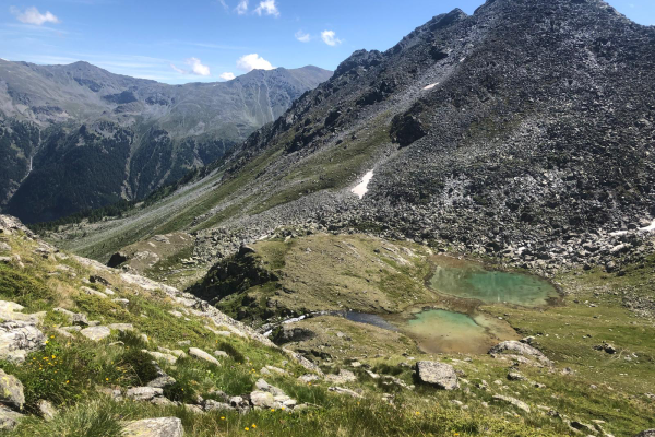 Meidsee