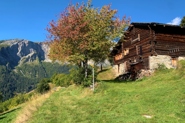 Auf dem SonnenWeg