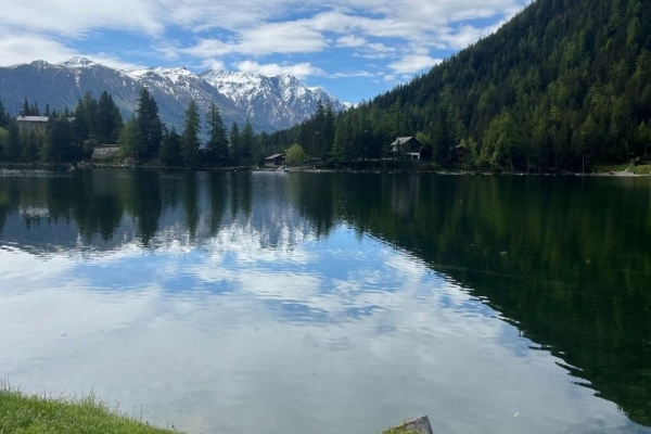 R59: Col de la Forclaz - Alpage de Bovine - Champex-Lac