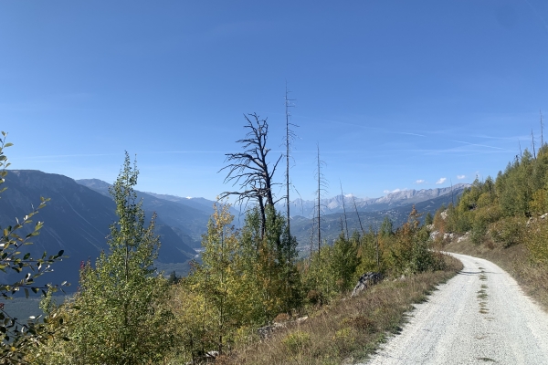 Sur le Chemin du soleil
