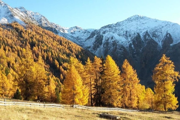R73: NOUVEAU / Haute-Nendaz - Balavaux