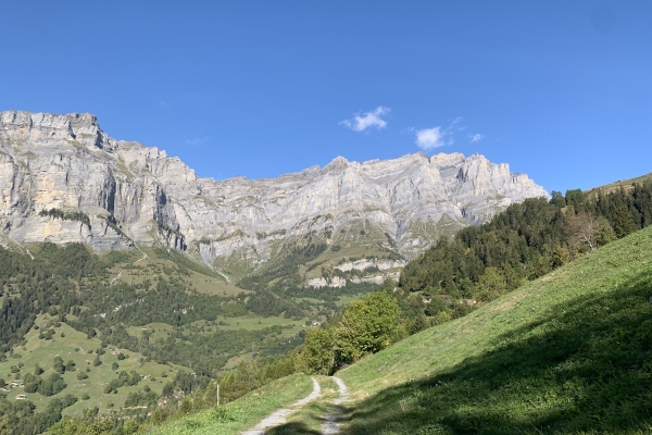 Auf dem SonnenWeg