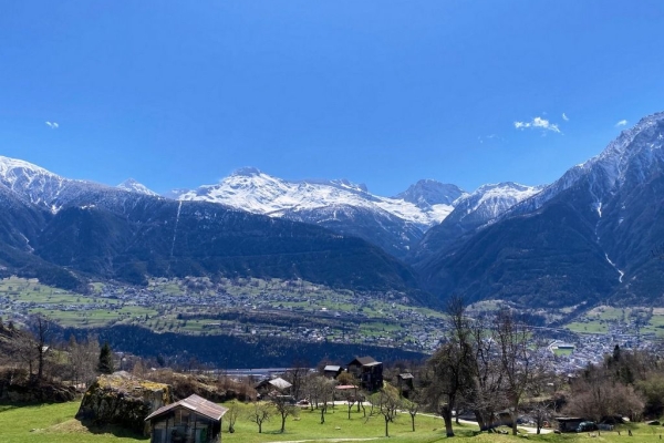 Modification de l'itinéaire R79: Leuk-Suten - Bhutanbrücke - Bhutan Festival - Leuk-Susten / Änderun