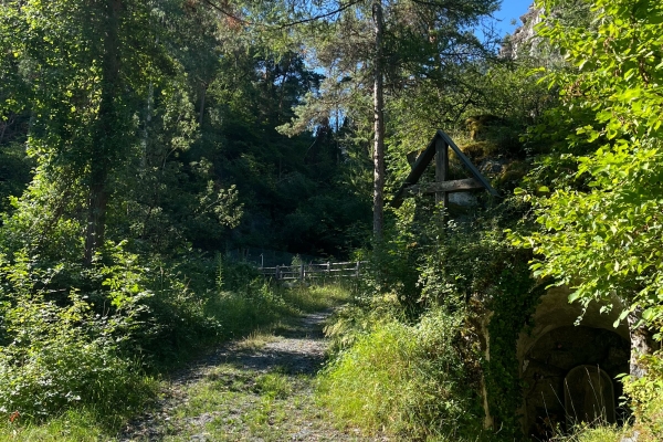 Entdeckung der Ricard Suone: eine historische und erfrischende Wanderung in Réchy