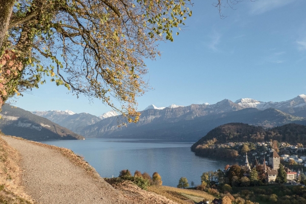 R15: Thun - Gwatt  - Einigen - Moosegg - Spiezberg - Spiez