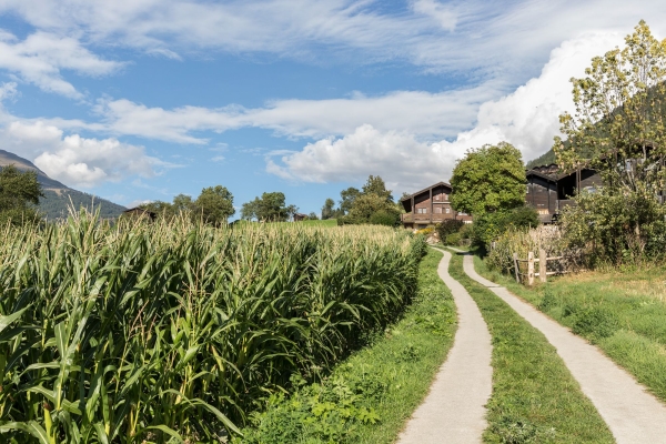Randonnée sur les sentiers du temps à Fiesch