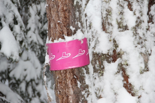 Montana - Etang de Grenon - Golf - Etang de la Moubra - Montana