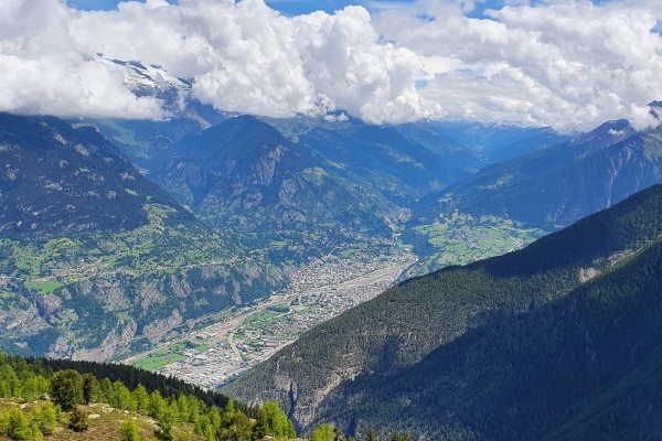 Panoramarundwanderung Heidadorf