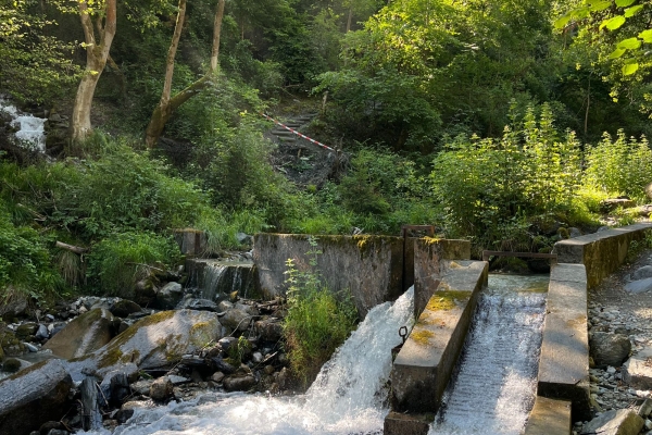 Entdeckung der Ricard Suone: eine historische und erfrischende Wanderung in Réchy