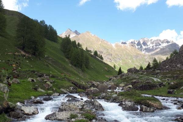 S06: La Via Engadina