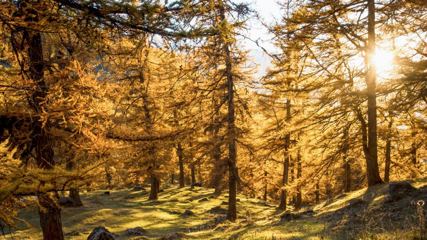 2016_Automne_ColduLein_8_©Valais-Wallis Promotion - David Carlier-3