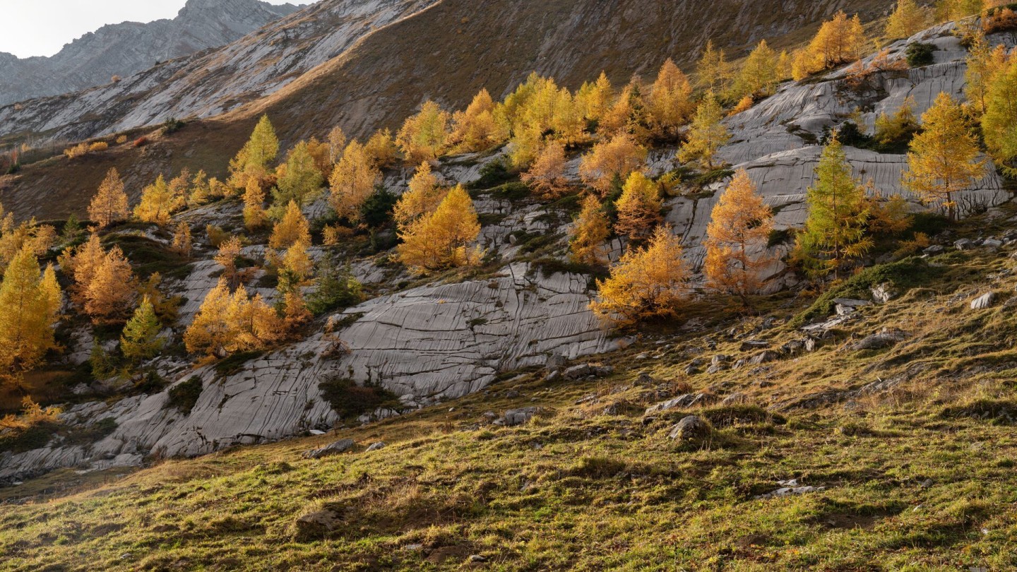 2018_Derborence_37_©Valais-Wallis Promotion - Claudio Zenger-4