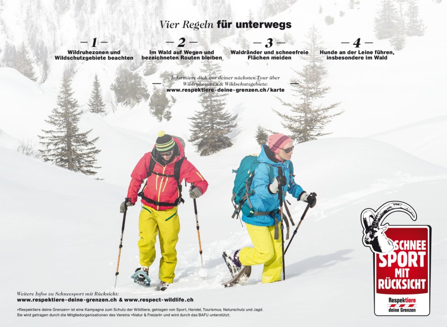 N_F_Bild_Schneeschuh_frz