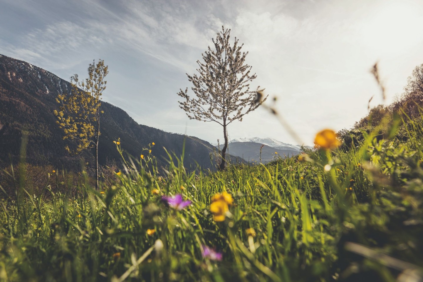 2018_fruehling_54_©Valais-Wallis Promotion - Christian Pfammatter-4