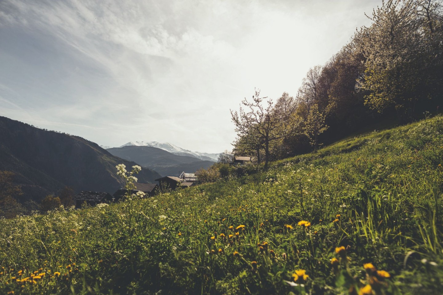 2018_fruehling_50_©Valais-Wallis Promotion - Christian Pfammatter-1