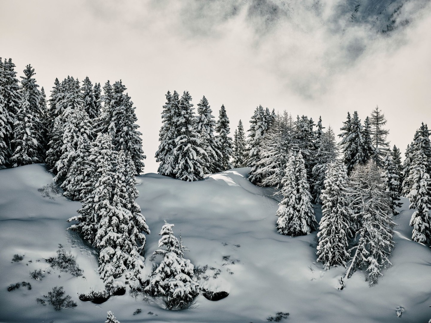 2018_Aletsch_13_©Valais_Wallis Promotion - Pascal Gertschen