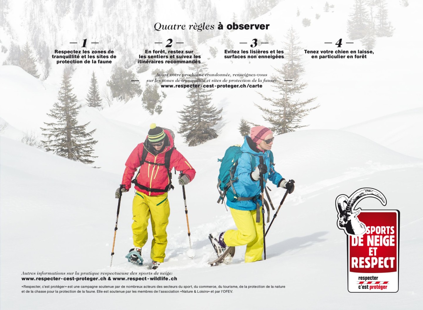 N_F_Bild_Schneeschuh_frz