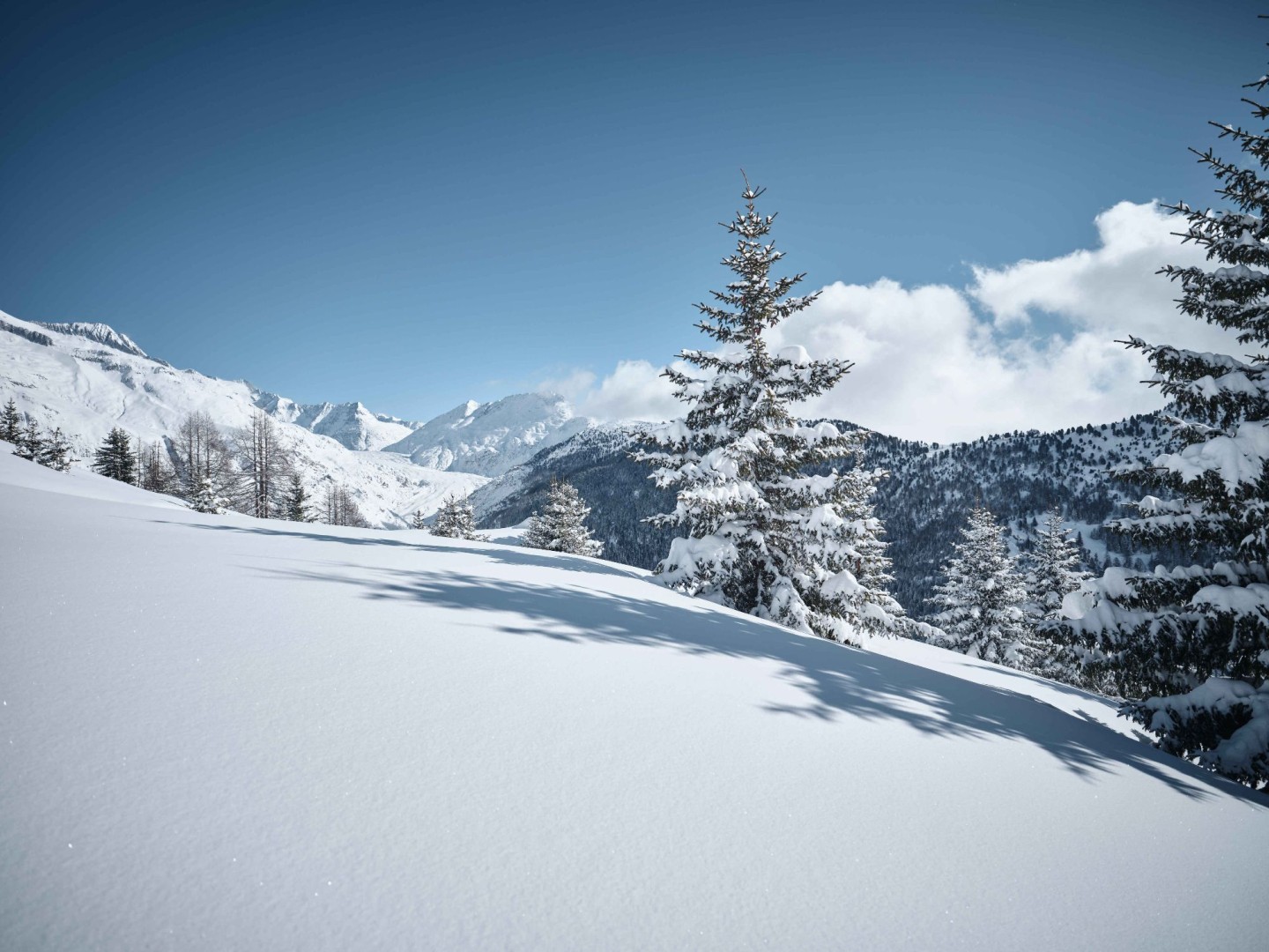 2020_VWP_Raquette_Belalp_HiRes_DSCF0260