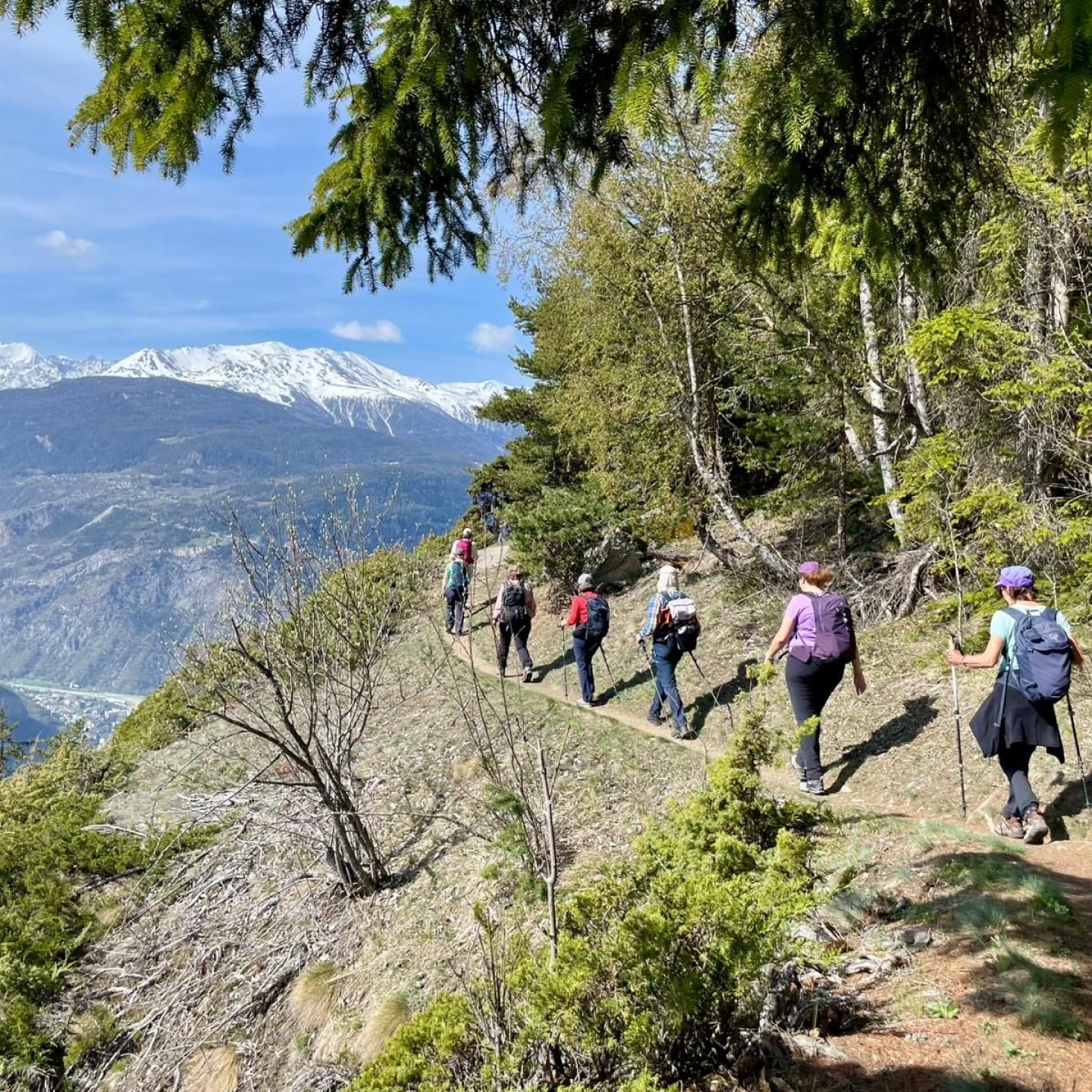 Image 2026-04-18 at 13