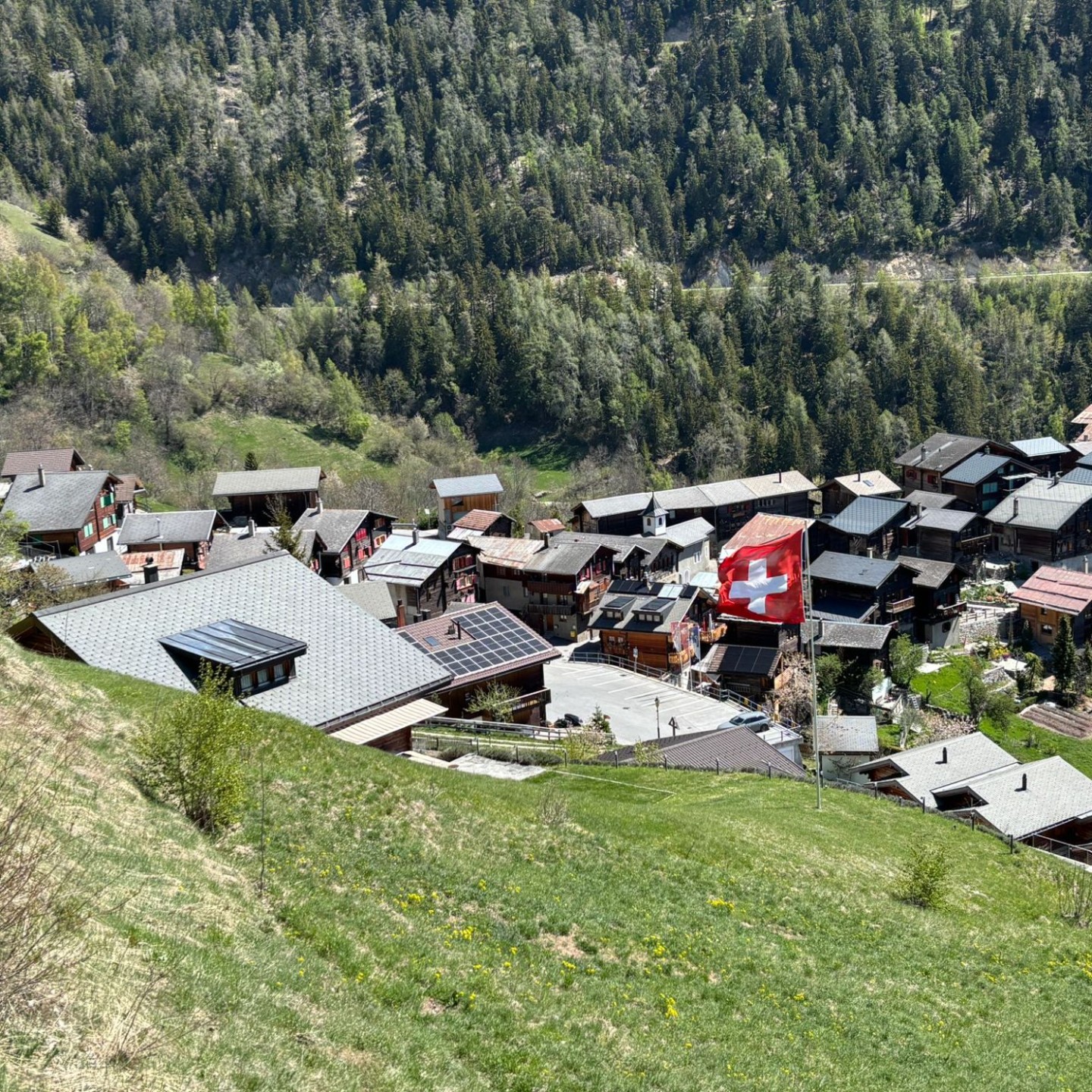 PHOTO-2026-04-25-19-31-50