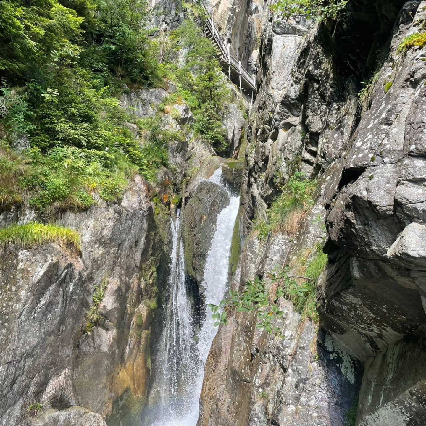 IMG-20250713-WA0005