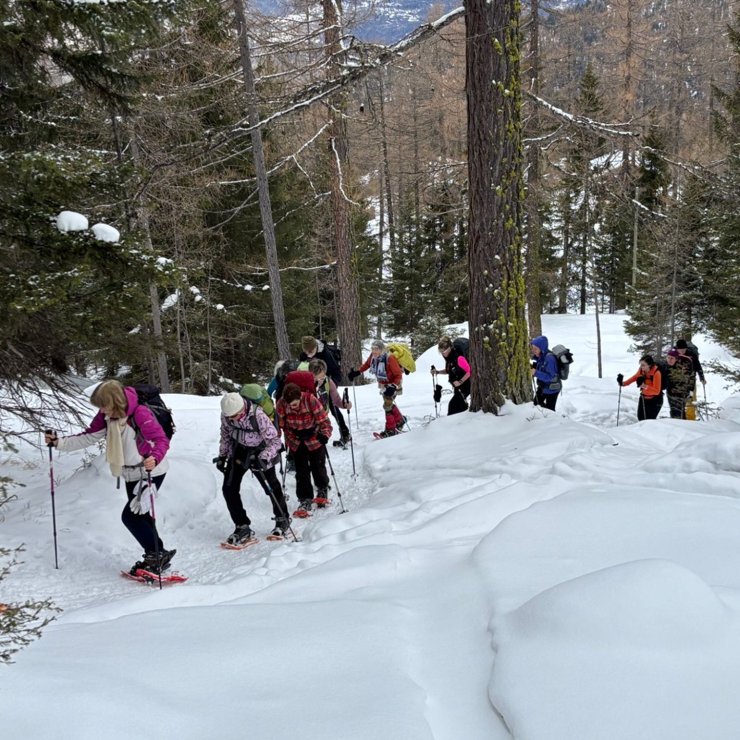 PHOTO-2026-01-17-18-44-08