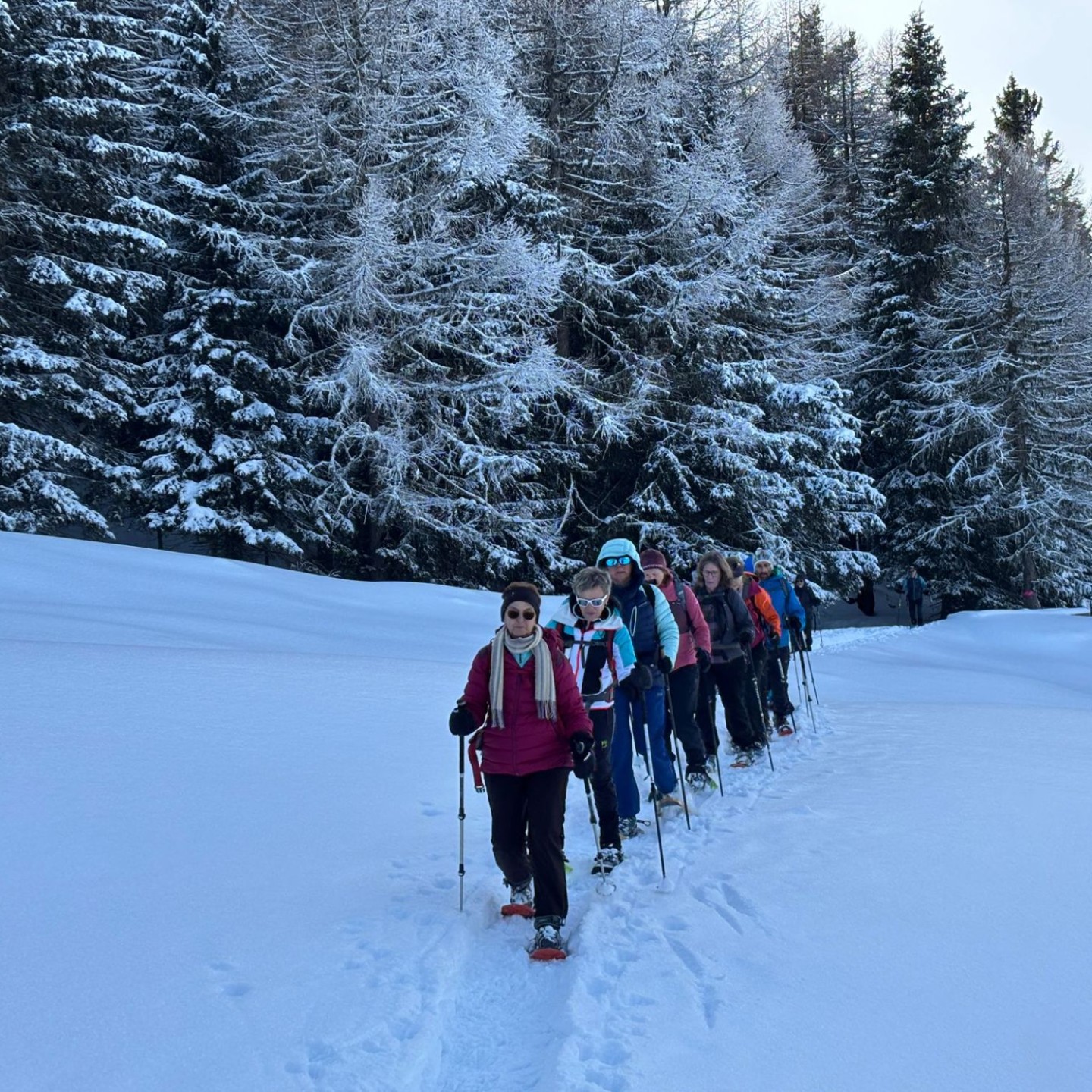 PHOTO-2026-02-02-09-25-50