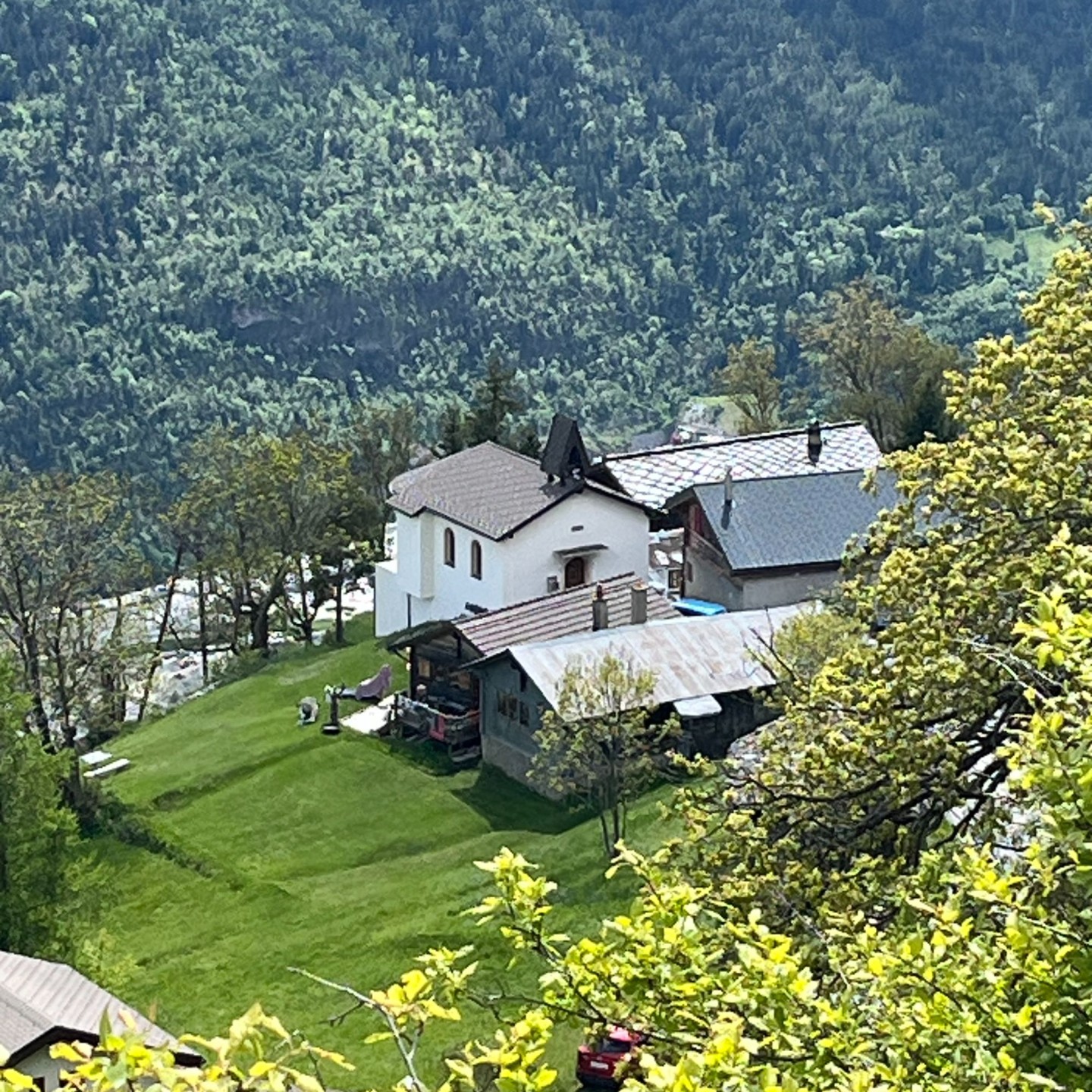 IMG_0373