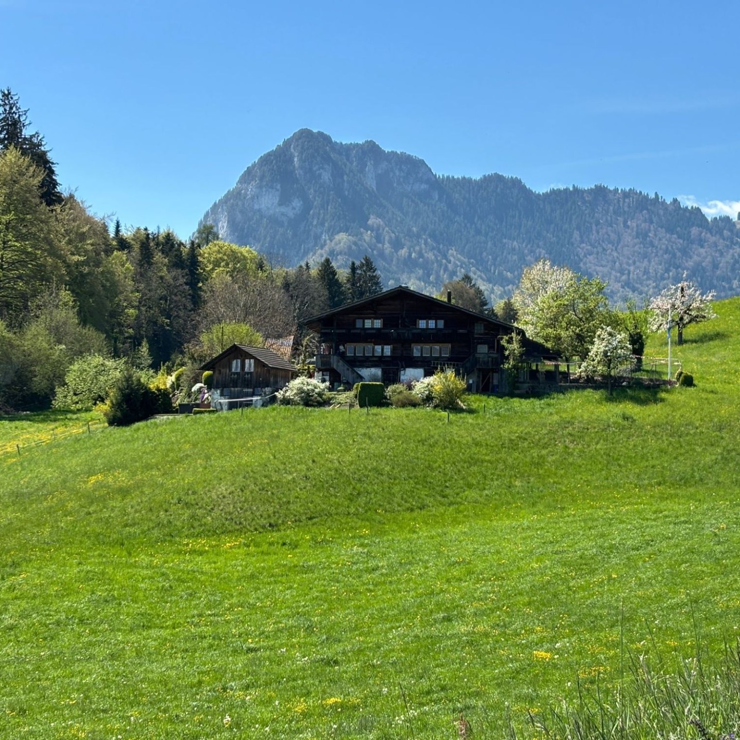 WhatsApp Image 2026-04-20 at 00