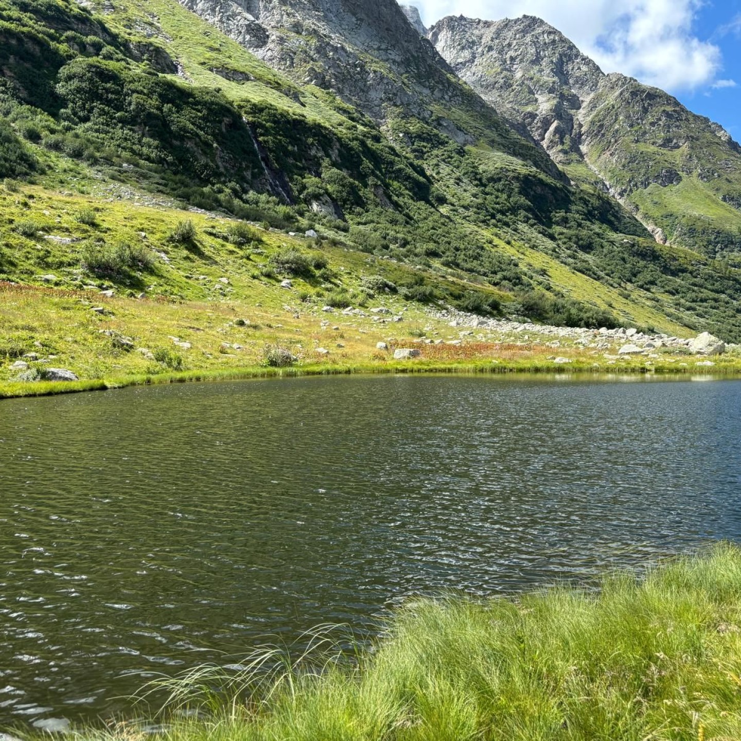 IMG-20250718-WA0011