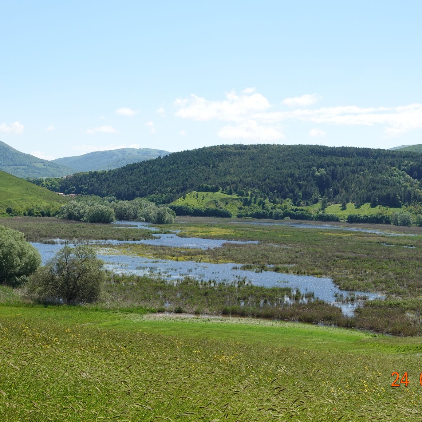 DSC06908
