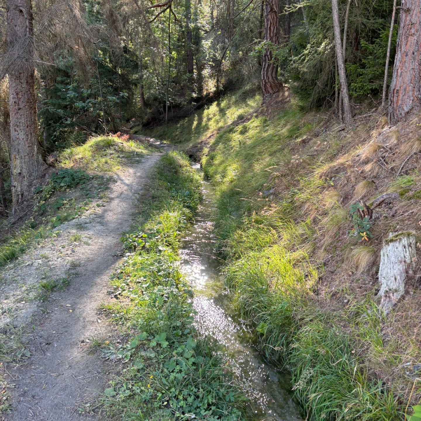 IMG-20250918-WA0106