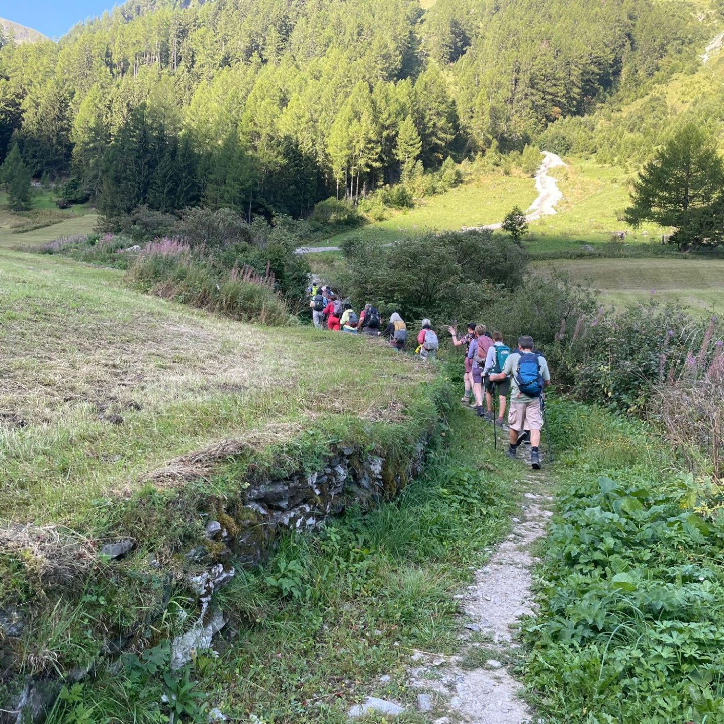 IMG-20250809-WA0022