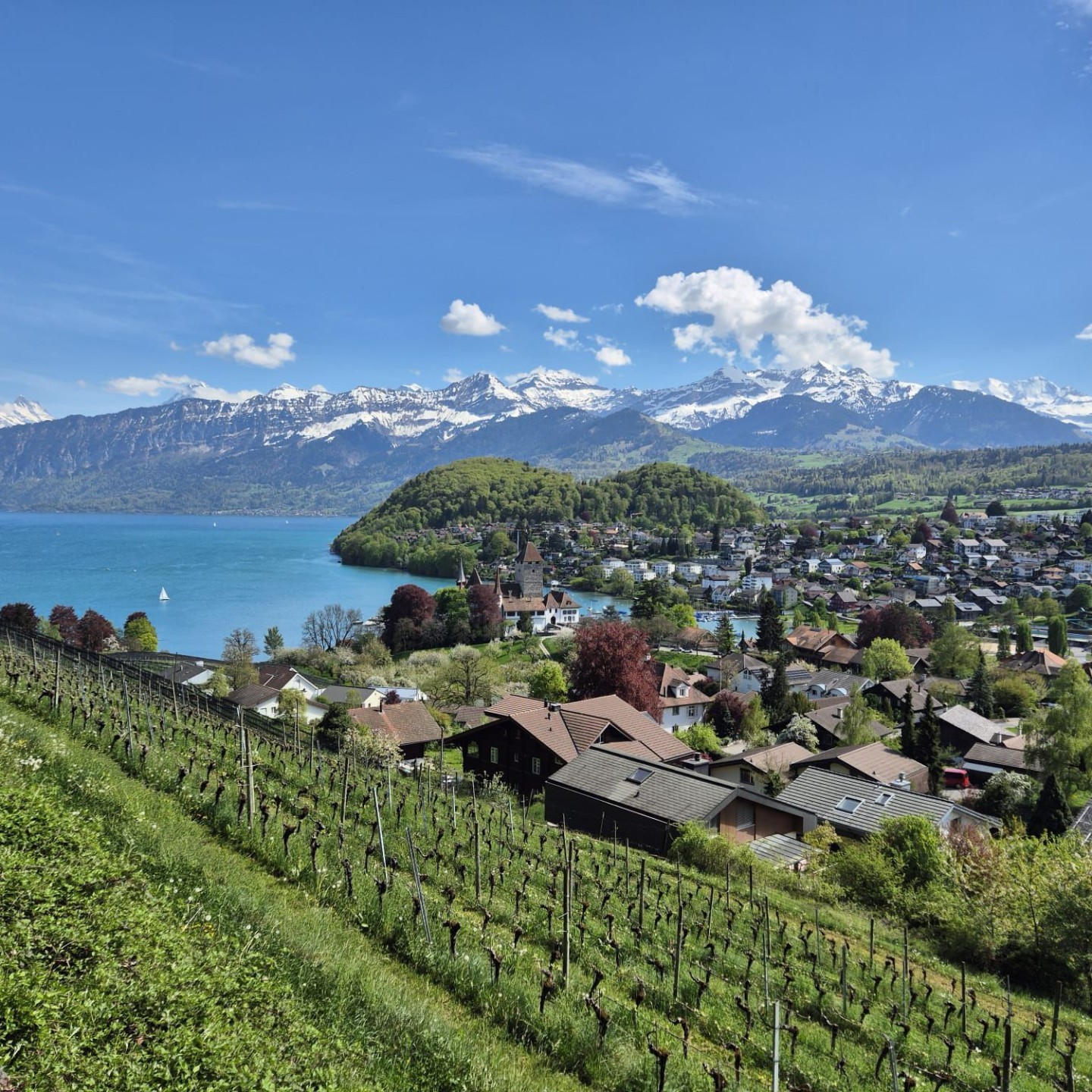 WhatsApp Image 2026-04-20 at 00