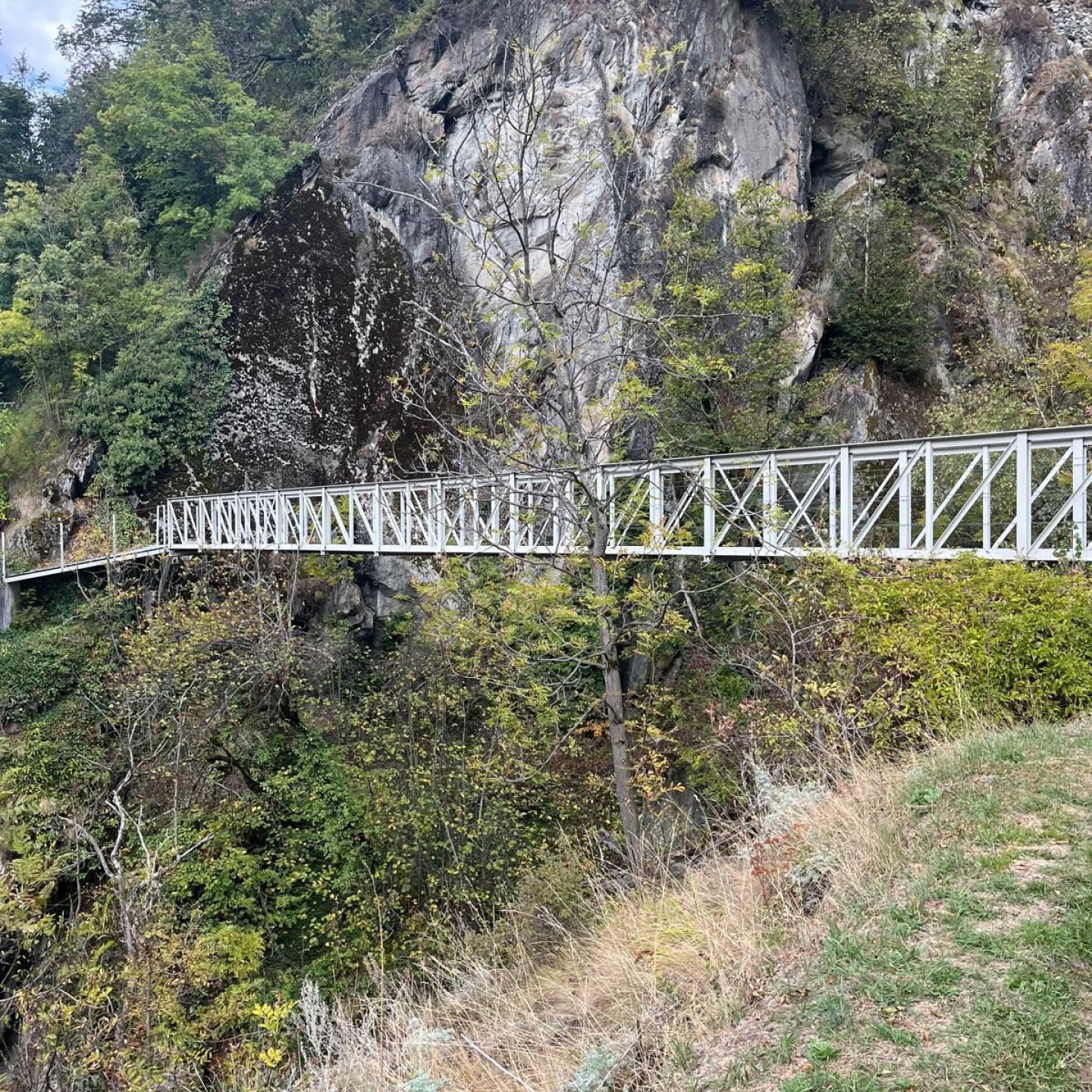 IMG-20251008-WA0120