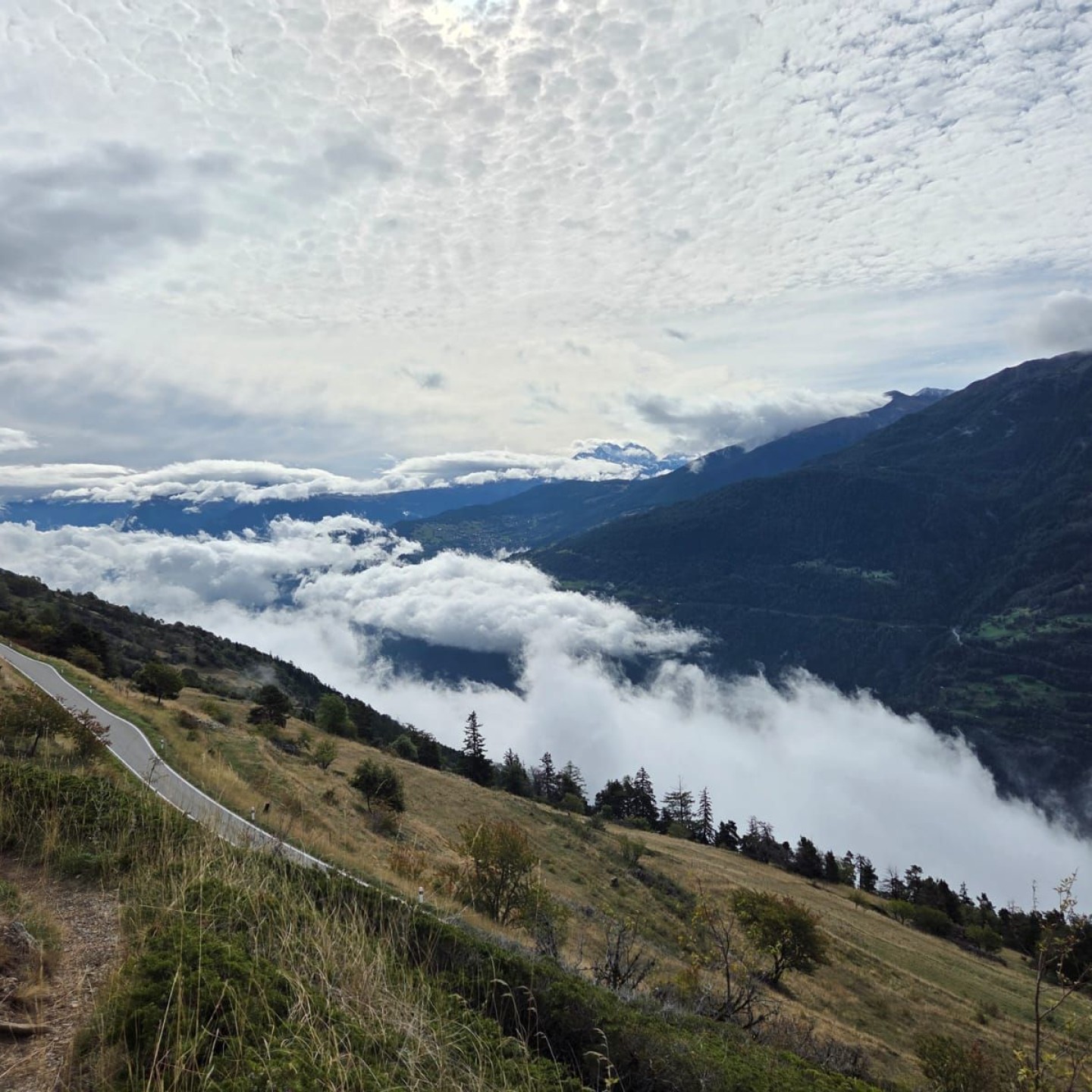 IMG-20250918-WA0049