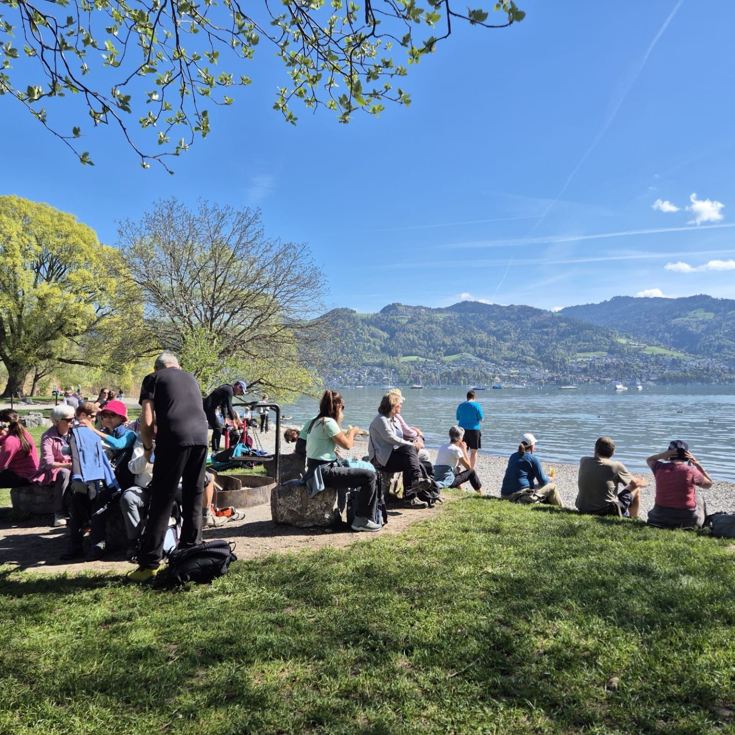 WhatsApp Image 2026-04-20 at 00