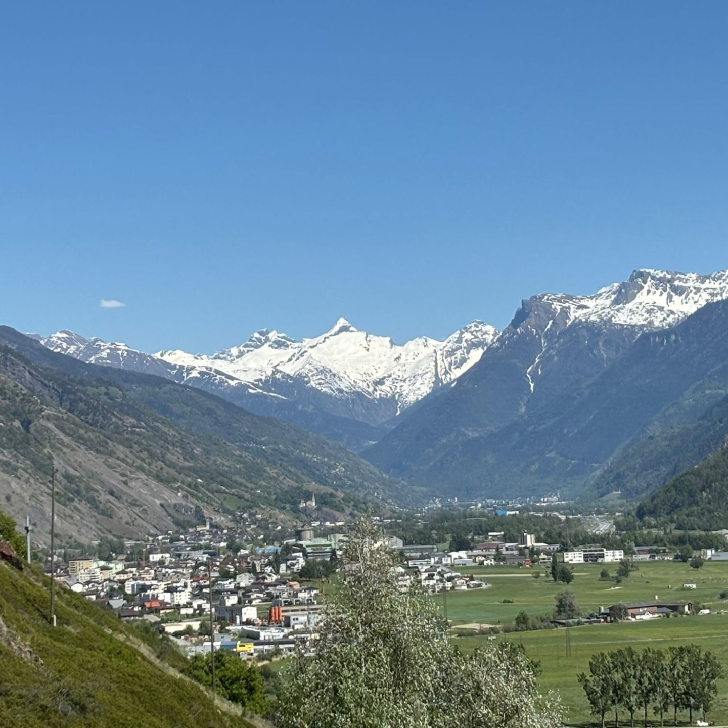 PHOTO-2026-04-25-19-31-58