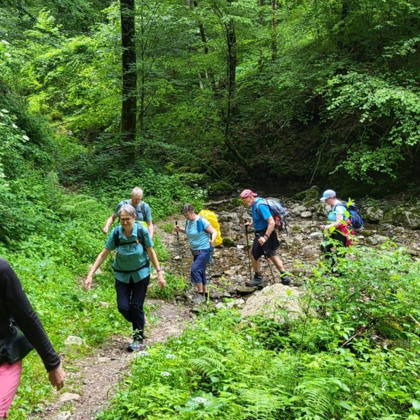 IMG-20250604-WA0021