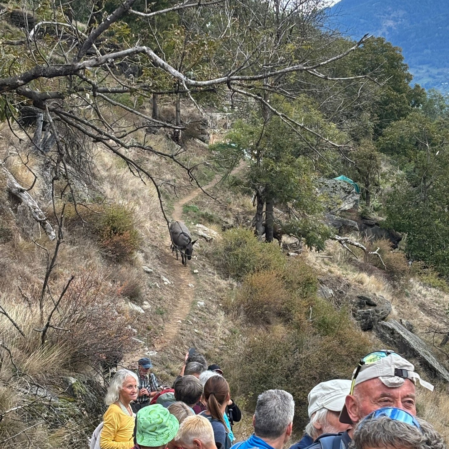 IMG-20251008-WA0018