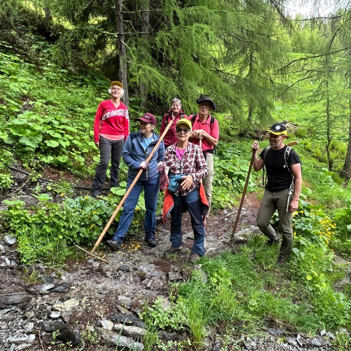 IMG-20250610-WA0021