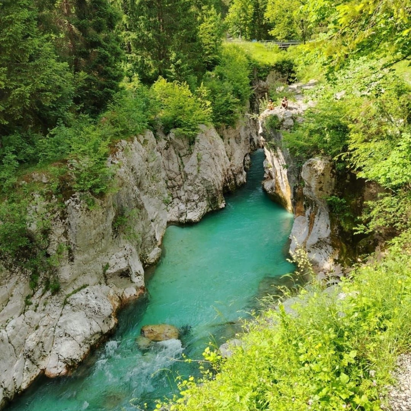 IMG-20250606-WA0015
