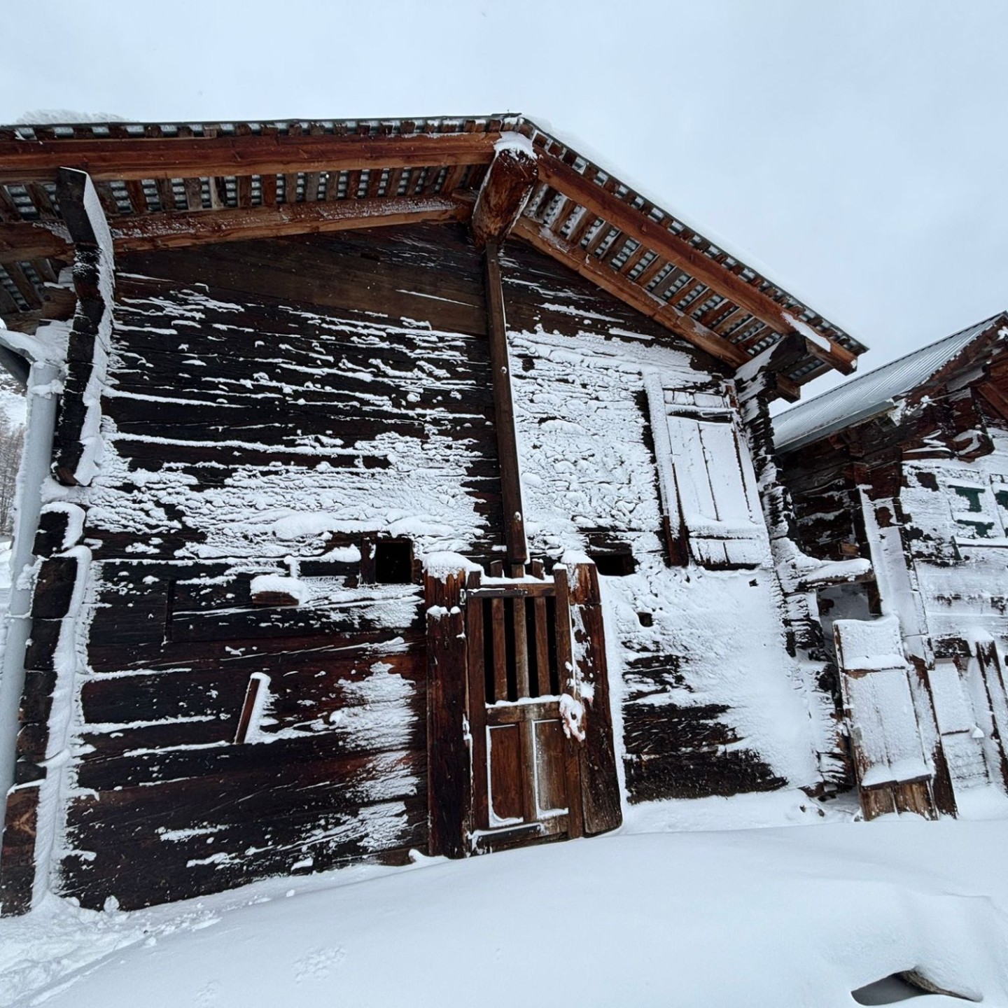 PHOTO-2026-01-10-16-54-56_1