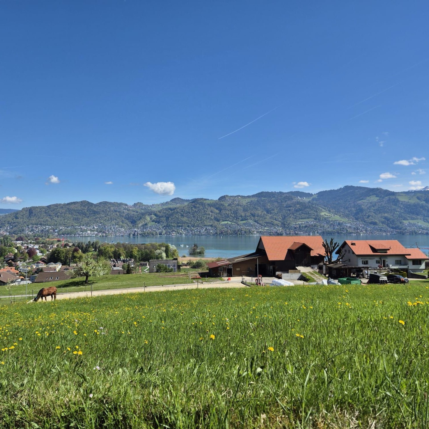 WhatsApp Image 2026-04-20 at 00