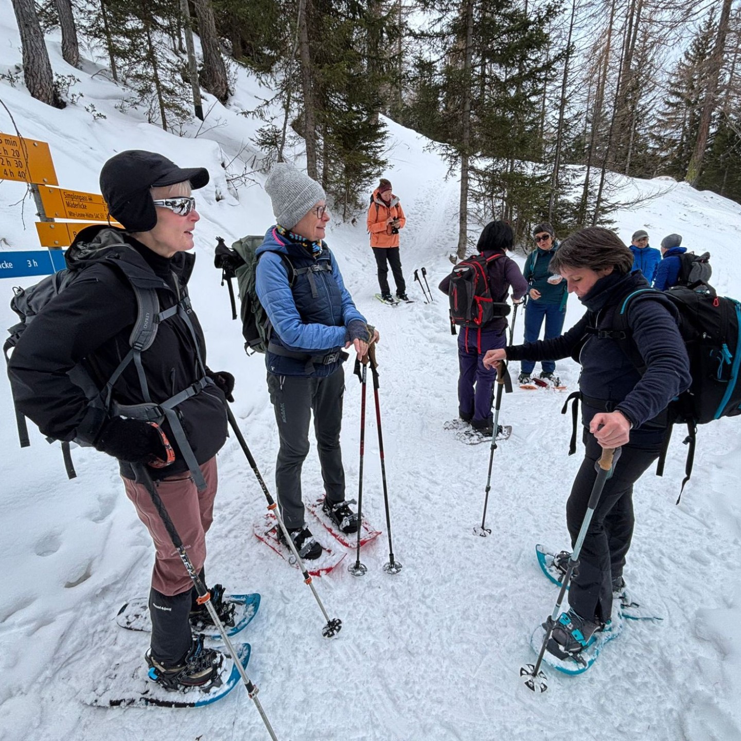 PHOTO-2026-01-17-18-44-08_1