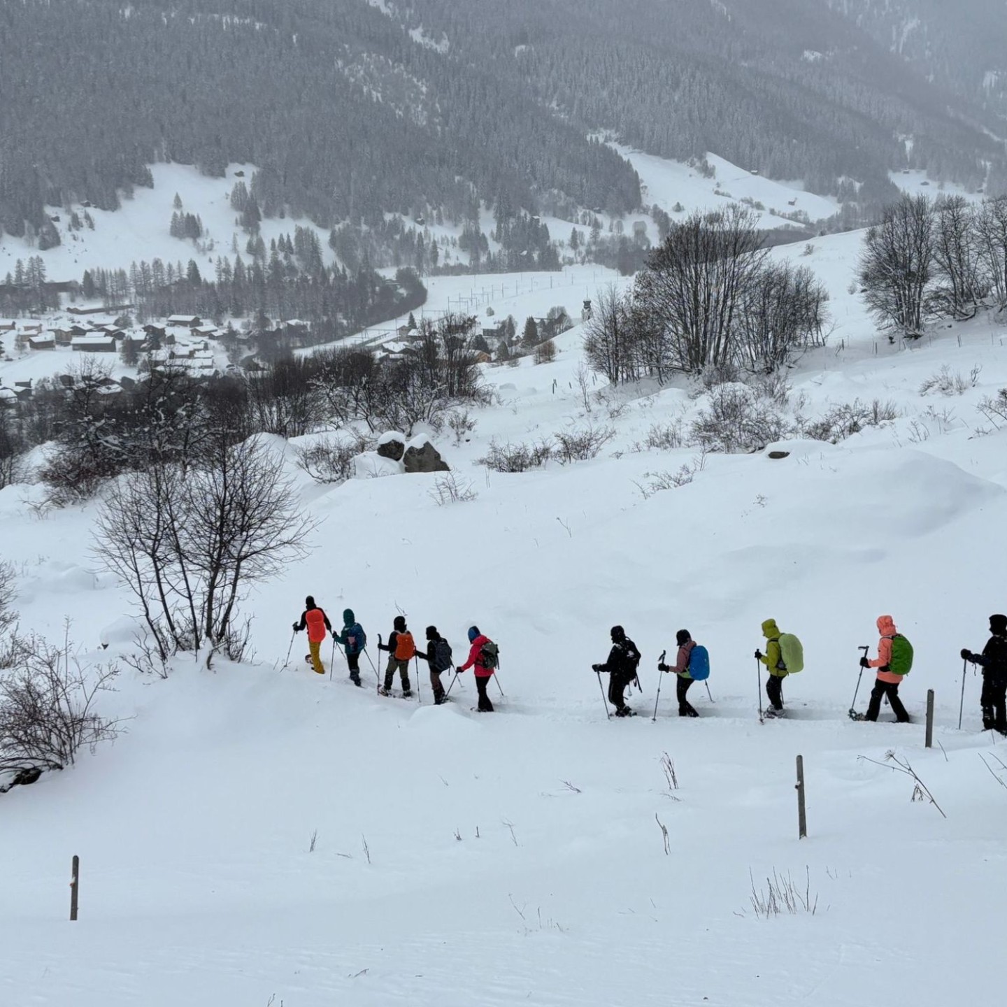 PHOTO-2026-01-10-16-54-55