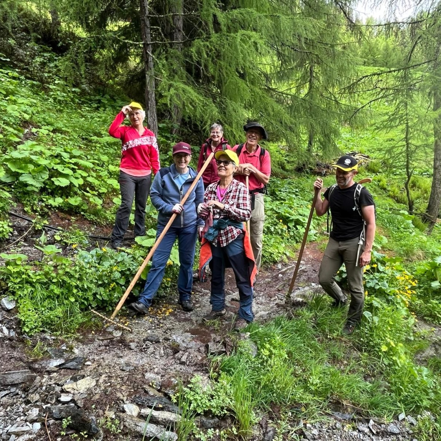 IMG-20250610-WA0022