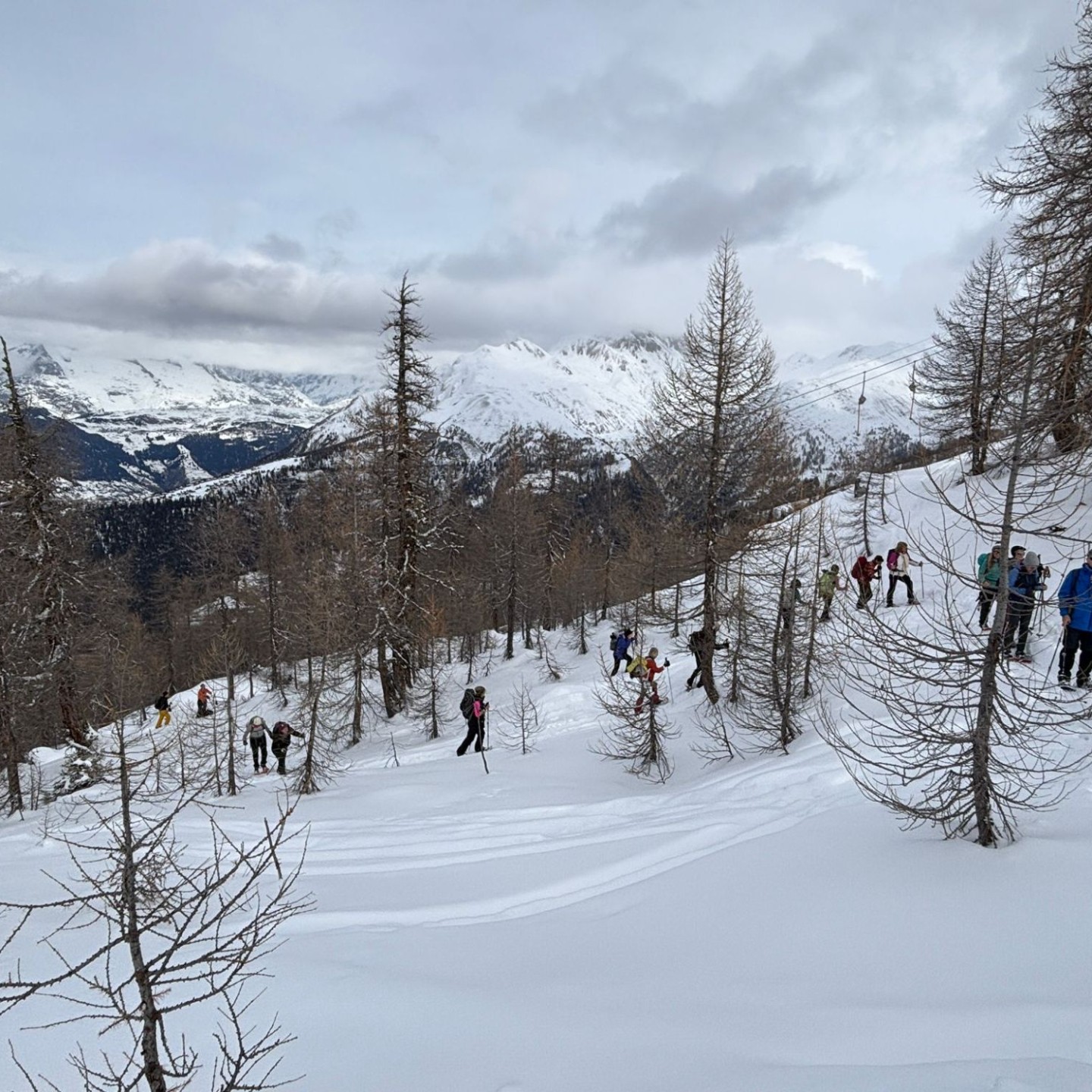 PHOTO-2026-01-17-18-44-10