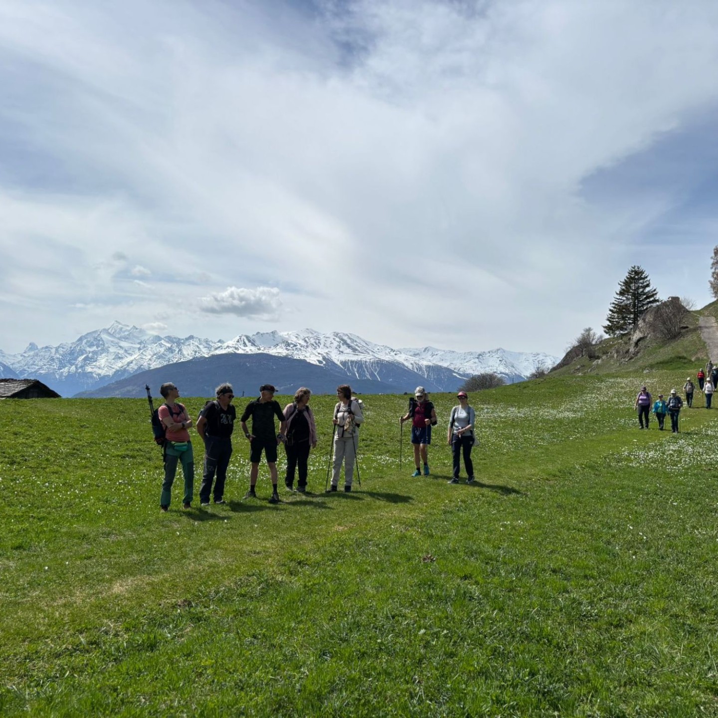 WhatsApp Image 2026-04-17 at 16