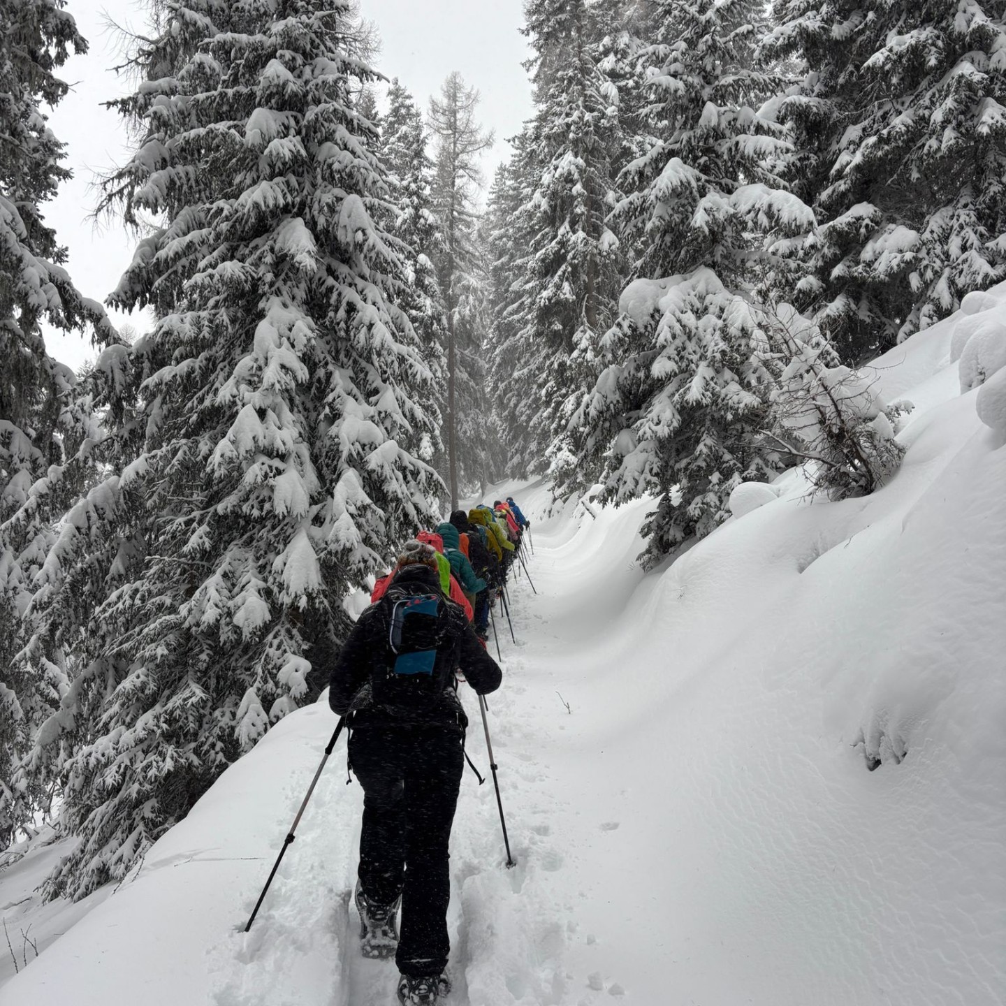 PHOTO-2026-01-10-16-56-13